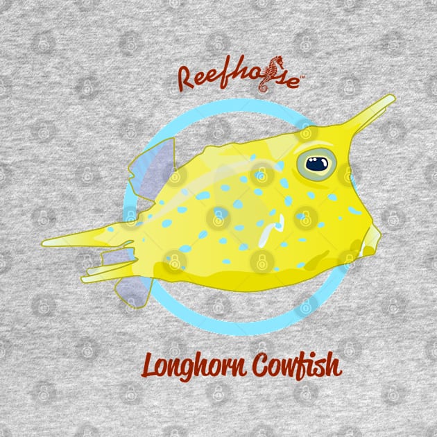 Longhorn Cowfish by Reefhorse